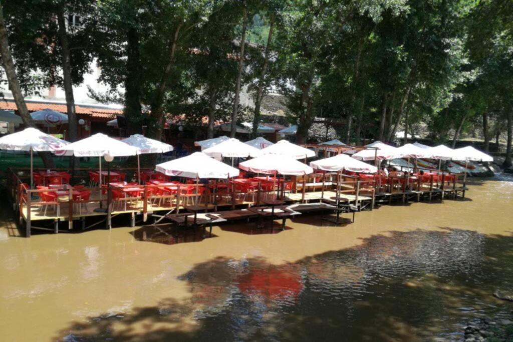 Casinha Dos Figueirais Villa Gois Ngoại thất bức ảnh
